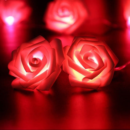 "Différentes options de couleurs pour guirlandes LED : blanc chaud, rose, blanc et multicolore"